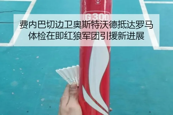费内巴切边卫奥斯特沃德抵达罗马 体检在即红狼军团引援新进展